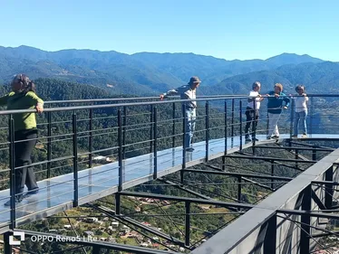 Galería El Mirador de Cristal 1