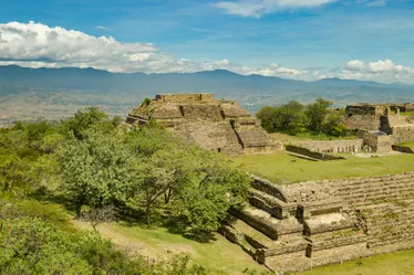 Galería Monte Albán 2